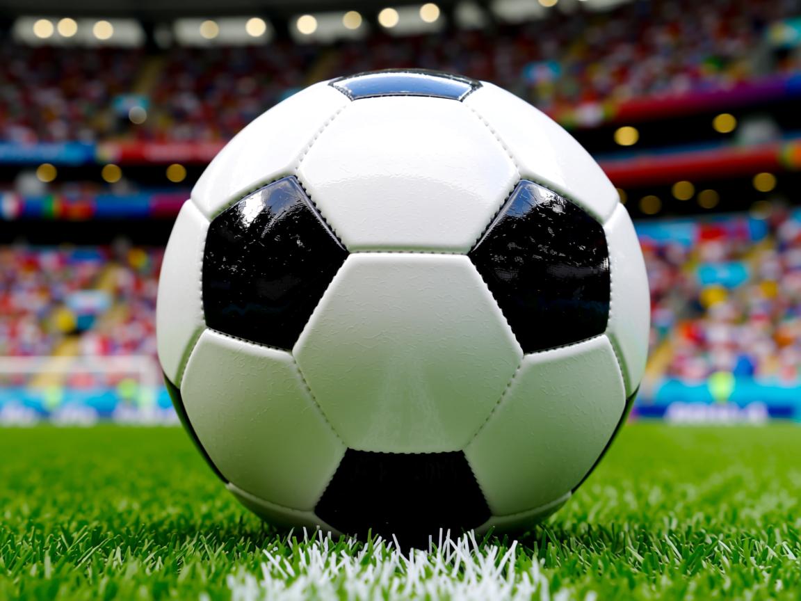 九游体育官网-加拿大乒乓队未来计划：如何通过综合训练提升全员竞技水平，加拿大乒乓球队员名单