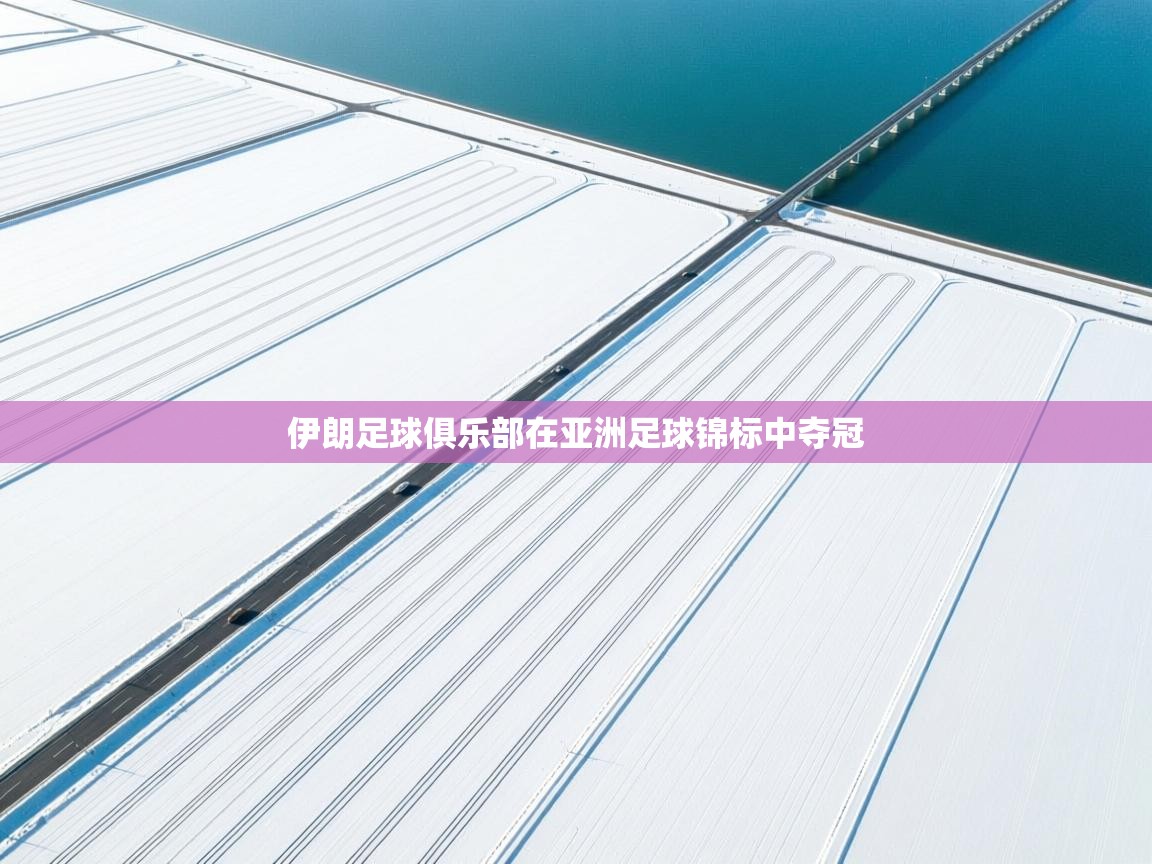 伊朗足球俱乐部在亚洲足球锦标中夺冠  第2张