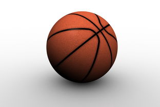 九游官网入口-决赛后双方球员握手致敬体现体育精神，篮球比赛双方握手