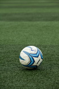 九游.中国官网-校园足球项目考核标准缺乏可复制性，校园足球项目绩效自评报告  第3张